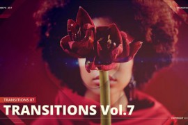 Transitions 52142169