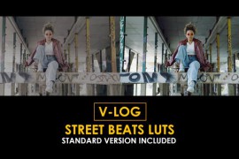 V-Log Street Beats and Standard Color LUTs 51303372