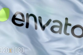 Flag Logo Reveal 12443629
