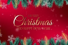 Christmas Intro 49558142