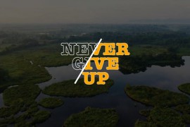 Typography Titles | FCPX & Apple Motion 47376563