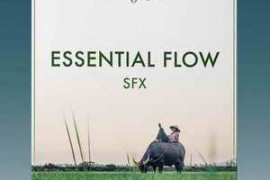 Visual Tone Essential Flow SFX Far East Edition WAV