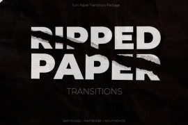 Ripped Paper Transitions 50658535
