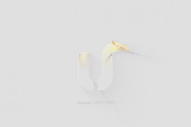 Minimal Soft Logo Reveal 43884532