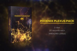 Phoenix Plexus Pack 21694675