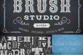 Free Download:The Brush Studio ABR 46842