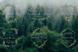 Wedding Titles 45945660