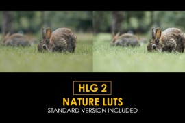 HLG2 Nature and Standard Luts 50878704