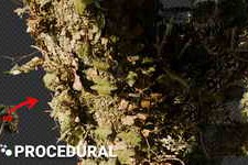 Free Download:Smart Trees – Super Close-Up Trees v1.2 for Blender