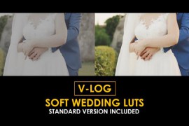 V-Log Soft Wedding and Standard Color LUTs 51303476