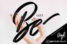 Free Download:CreativeMarket – Vinyl Procreate Brush 2768357
