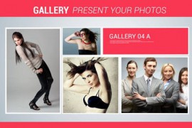 Gallery 7145947