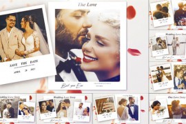 Wedding Slideshow 33686447