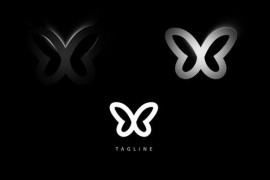 Logo Reveal 2 47310962