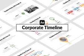 Corporate Timeline 51657615