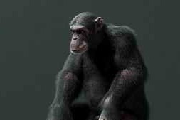 Udemy – Master Cg Creature Creation