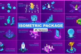 Isometric Package 23738817