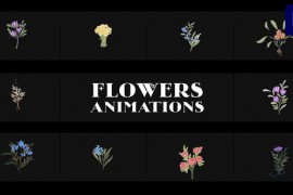 Flowers Falling Into Petals Animations for Premiere Pro 52155619