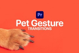 Pet Gesture Transitions for Premiere Pro 47367384