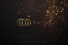 Elegant Logo Reveal 46919799