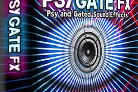 Lucid Samples Psygate FX WAV