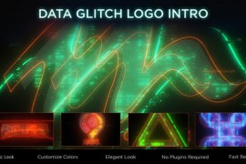 Data Glitch Logo Intro 44456270