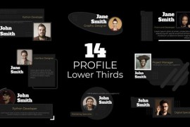 Social Profile Lower Thirds 49587037