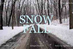 Free Download:Snow Fall 60225070