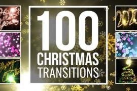 Christmas Transitions 25020830