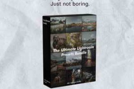 Free Download:The Ultimate Bundle – Mobile Lightroom Presets