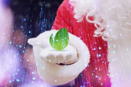 Christmas Logo 9572228