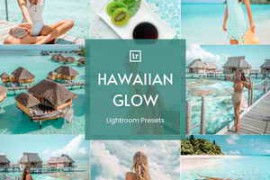 Me Presets – Hawaiian Glow Lightroom Presets