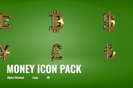 Money Icon Pack 30358879
