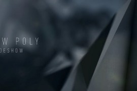 Low Poly Slideshow 16435775