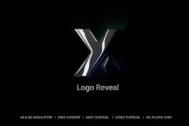 Logo Reveal 48022259