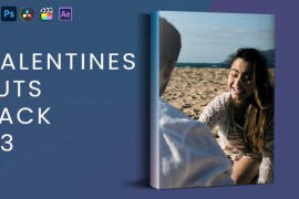 Valentines Luts Pack V3 43421154