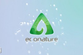 Logo Reveal 52766085