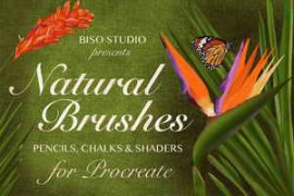 Natural Brushes for Procreate 4089280