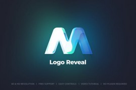 Logo Reveal 51516497