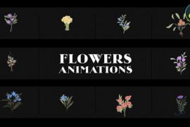 Flowers Falling Into Petals Animations for DaVinci Resolve 52210098