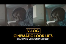 V-Log Cinematic Look and Standard Color LUTs 51378174