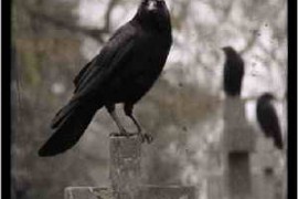 Quirk Dark Gothic Atmospheres WAV