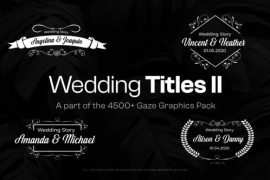 15 Wedding Titles II 48108316