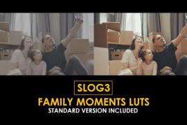Slog3 Family Moments and Standard Color LUTs 51061402