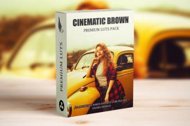 Cinematic Brown Moody Film Look Outdoor Video LUTs Pack 48828374