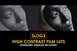 Slog3 High Contrast Film and Standard Color LUTs 50931030