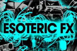 Sounds To Sample Esoteric FX WAV