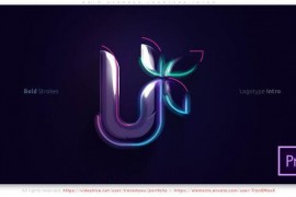 Bold Strokes Logotype Intro 52205874
