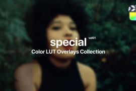 Special Color Presets for Final Cut Pro Vol. 01 48290566