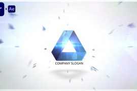 Logo Reveal 47453889